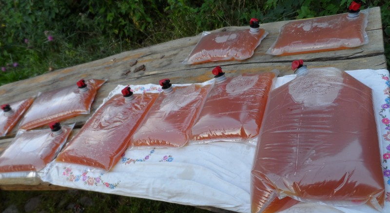 Saftsäcke, sogenannte Bags, liegen zum Trocknen